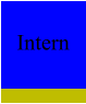 Intern