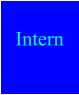 Intern